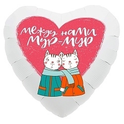 гелиевые шары стерлитамак заказать на 14 февраля на день валентина стерлитамак подарок сердце котики кошки стерлитамак шарики